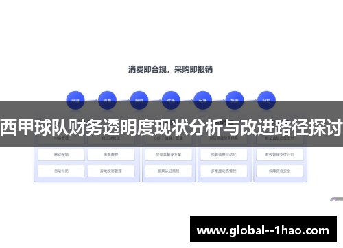 西甲球队财务透明度现状分析与改进路径探讨