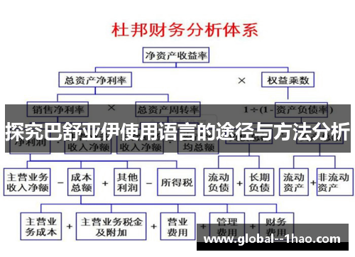 探究巴舒亚伊使用语言的途径与方法分析