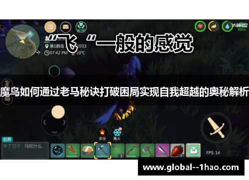 魔鸟如何通过老马秘诀打破困局实现自我超越的奥秘解析